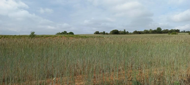 20230527_105547.jpg?type=w773