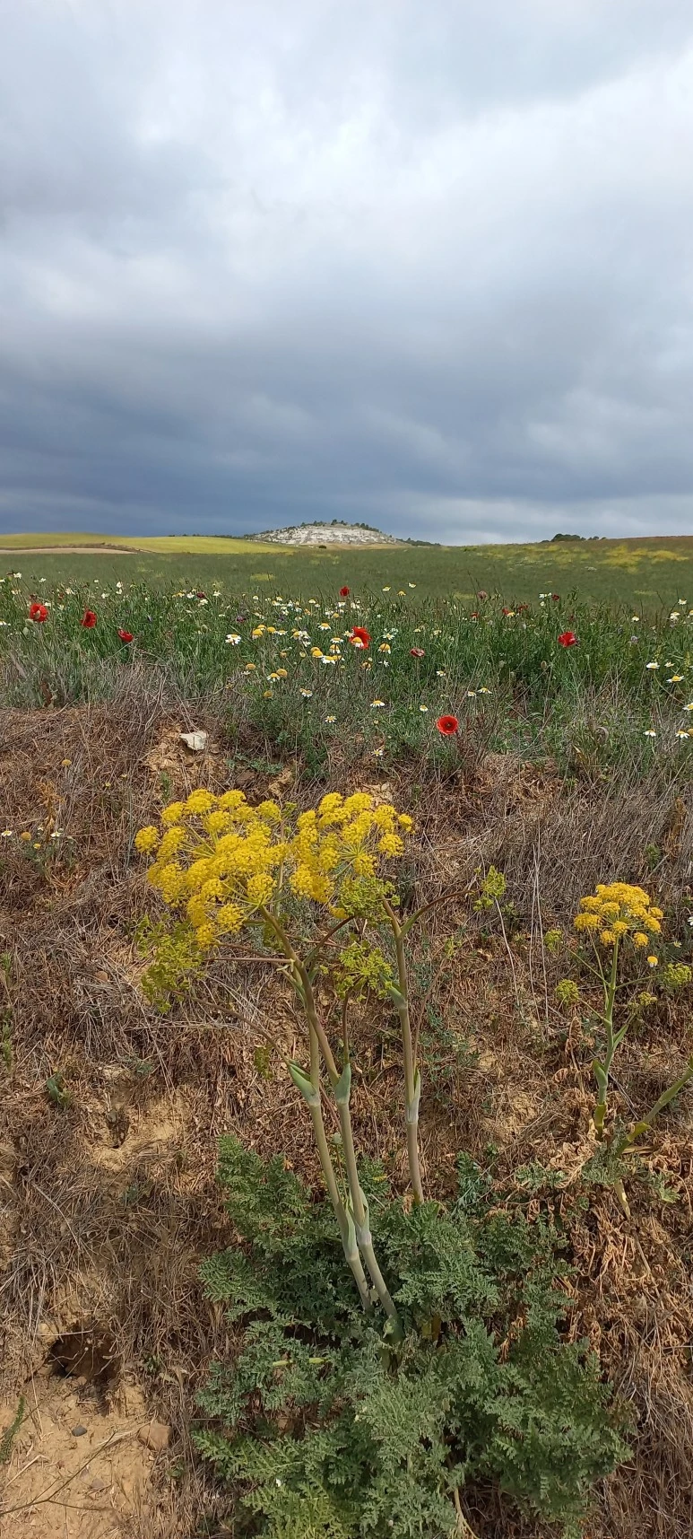 20230519_120325.jpg?type=w773