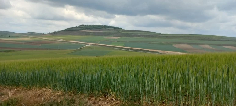 20230515_123118.jpg?type=w773