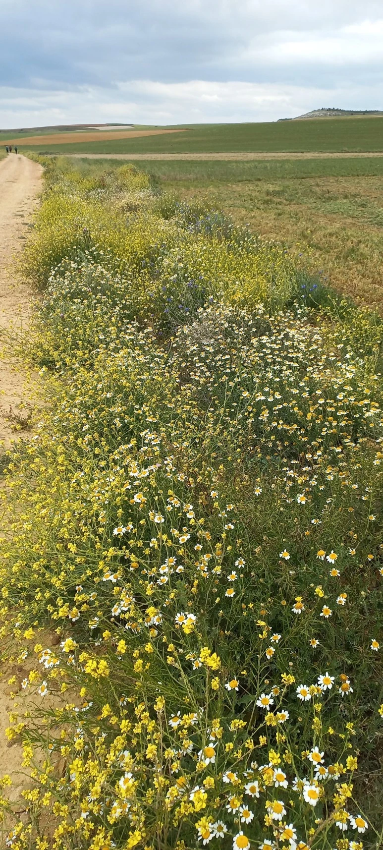 20230519_114902.jpg?type=w773