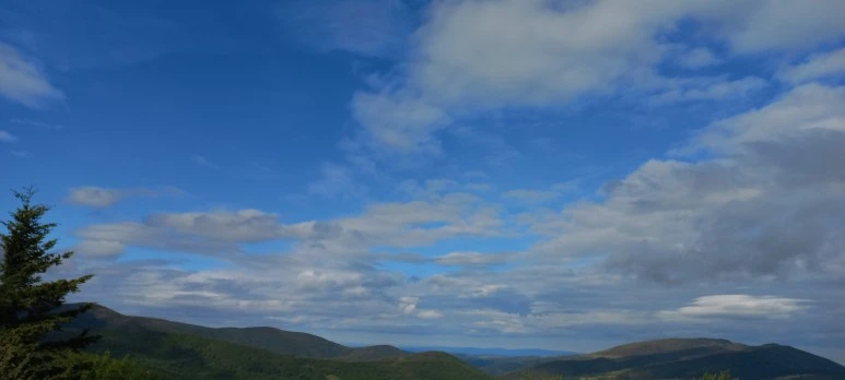 20230602_101058.jpg?type=w773