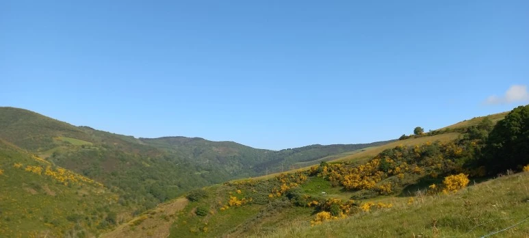 20230601_100459.jpg?type=w773