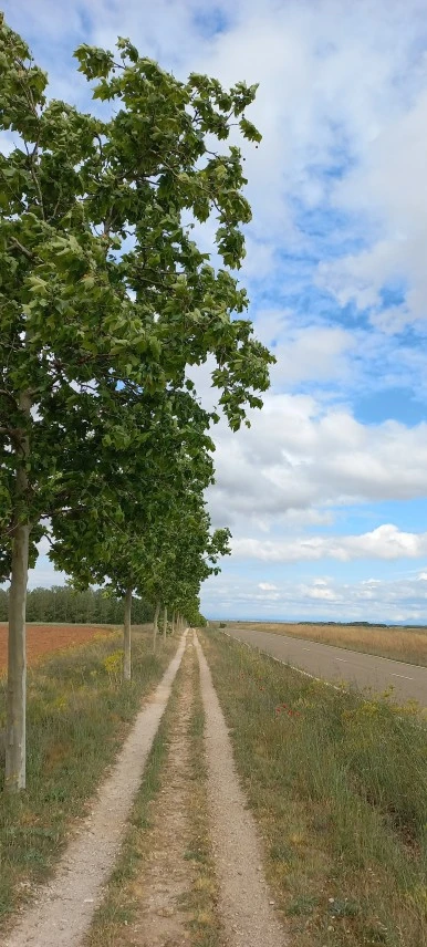 20230523_104438.jpg?type=w386