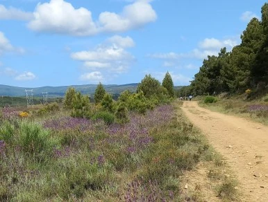 SE-f920ade9-eaee-4a8c-9558-7cd44f03b339.jpg?type=w386