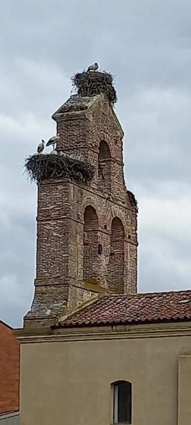 20230524_113406.jpg?type=w386