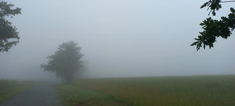 20230605_083031.jpg?type=w773