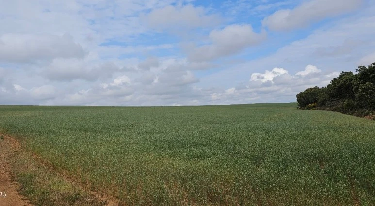 SE-ca948b98-aaf7-40c5-83cb-607e39a2ffd4.jpg?type=w773