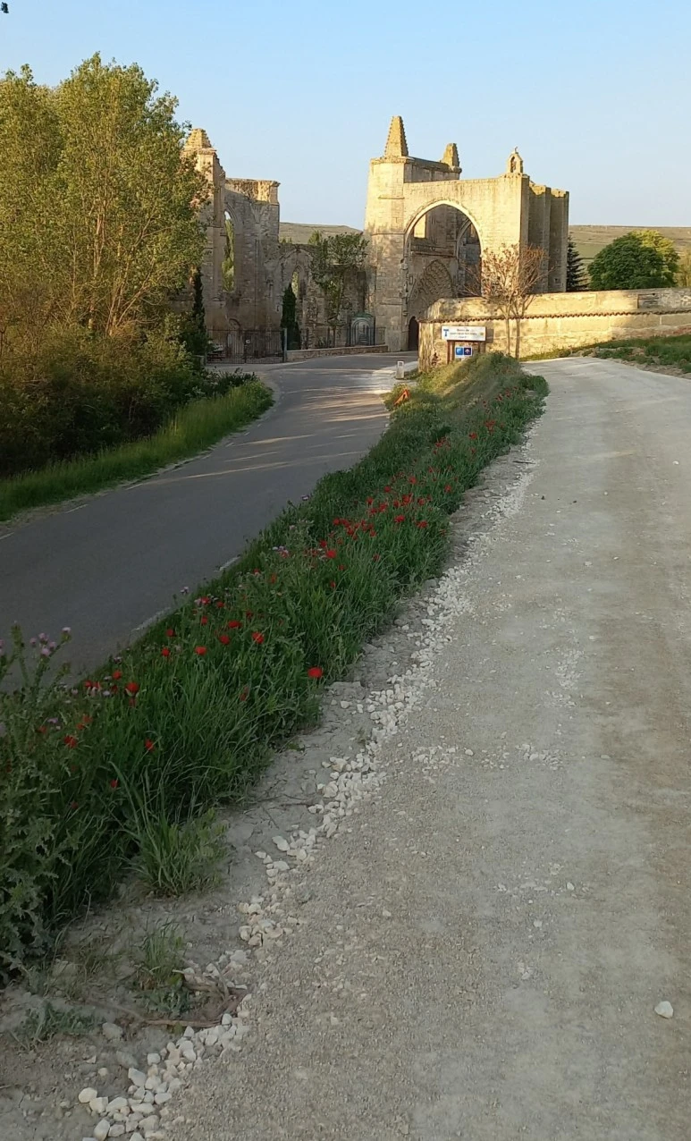 SE-bbb13fa7-db57-4bcc-8b62-784eaa11a581.jpg?type=w773