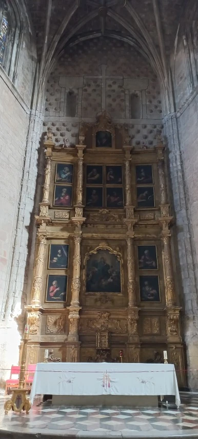 20230525_103750.jpg?type=w386