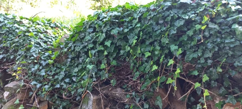 20230606_084432.jpg?type=w773