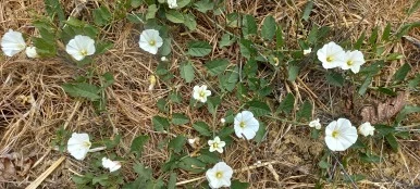 20230520_115620.jpg?type=w386