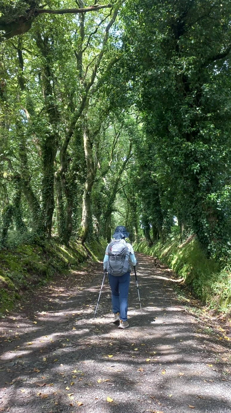 SE-245ae85d-d086-4a9f-87fe-ab3c98dc2426.jpg?type=w773