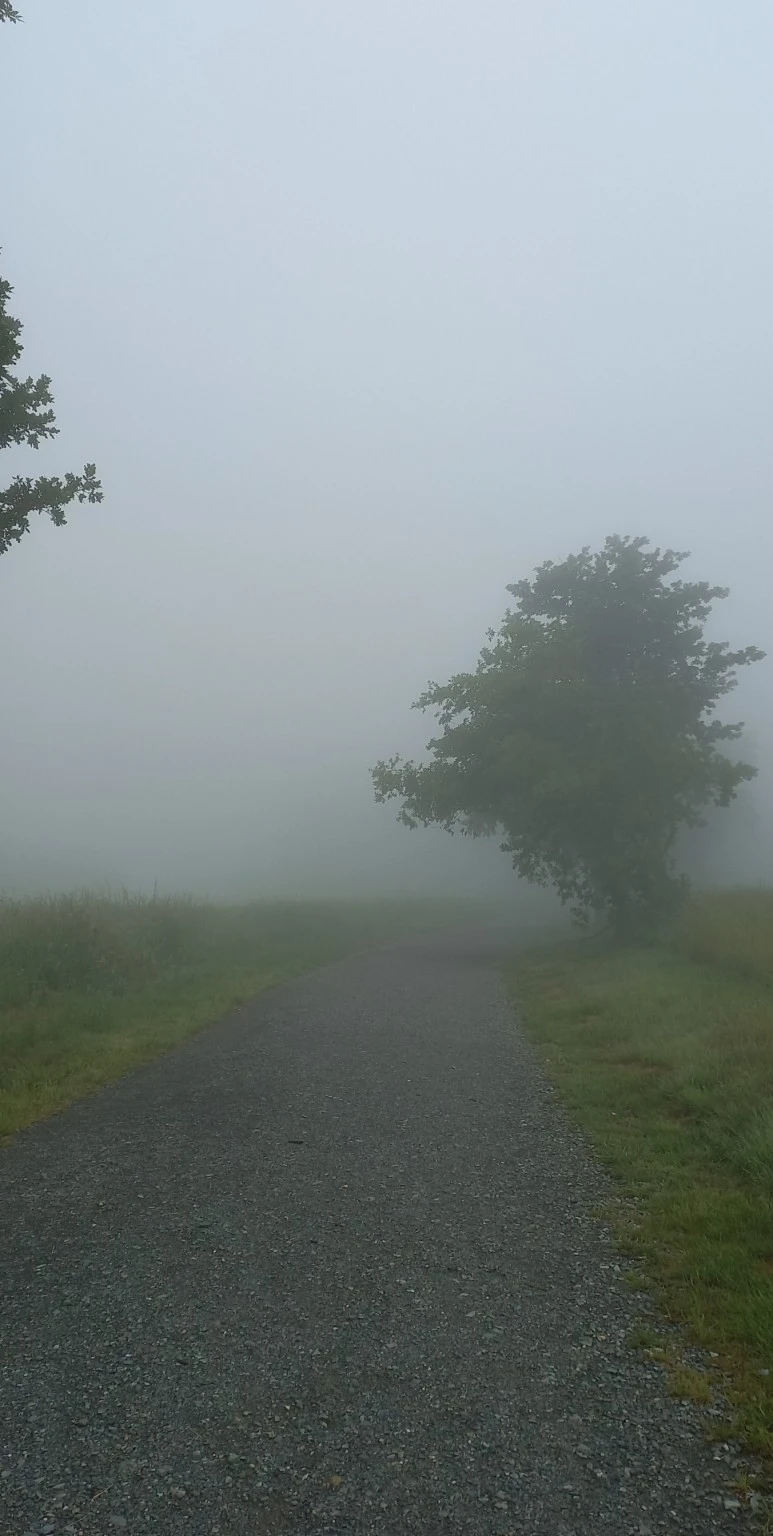 SE-9f559088-4c11-4f49-a330-ca09bdd986fd.jpg?type=w773