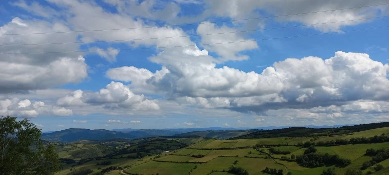 20230602_121000.jpg?type=w773