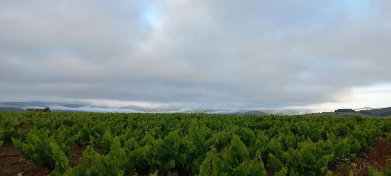 20230531_074227.jpg?type=w773