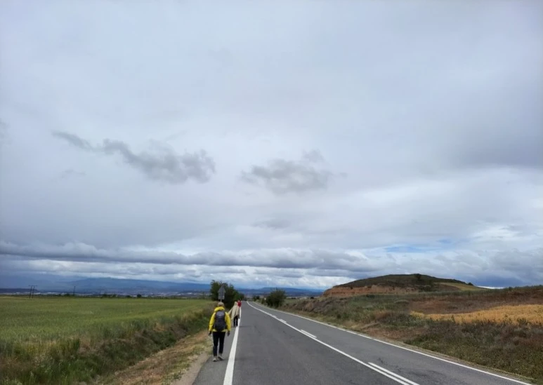 1683911198209.jpg?type=w773