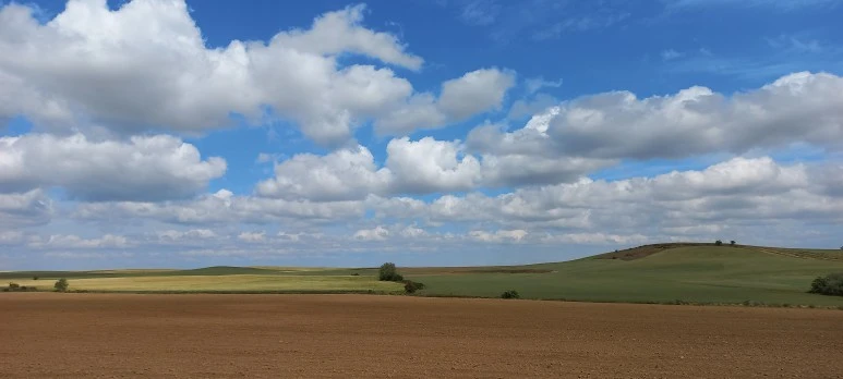 20230520_114957.jpg?type=w773