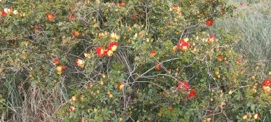 20230520_100028.jpg?type=w386