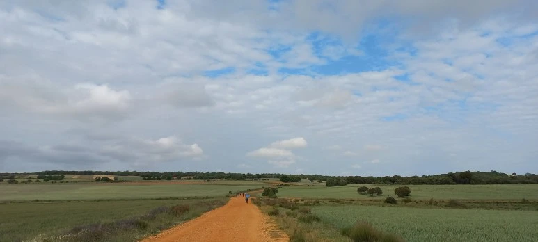 SE-a75a1bbc-2e19-40c4-8178-fe4adca207b3.jpg?type=w773