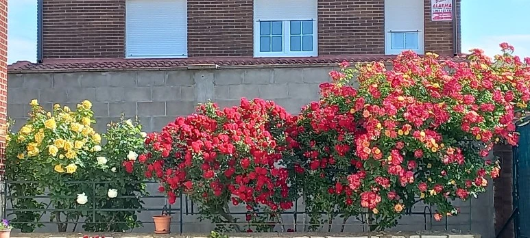 20230524_102346.jpg?type=w773