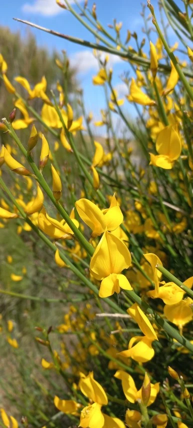 20230521_125756.jpg?type=w386