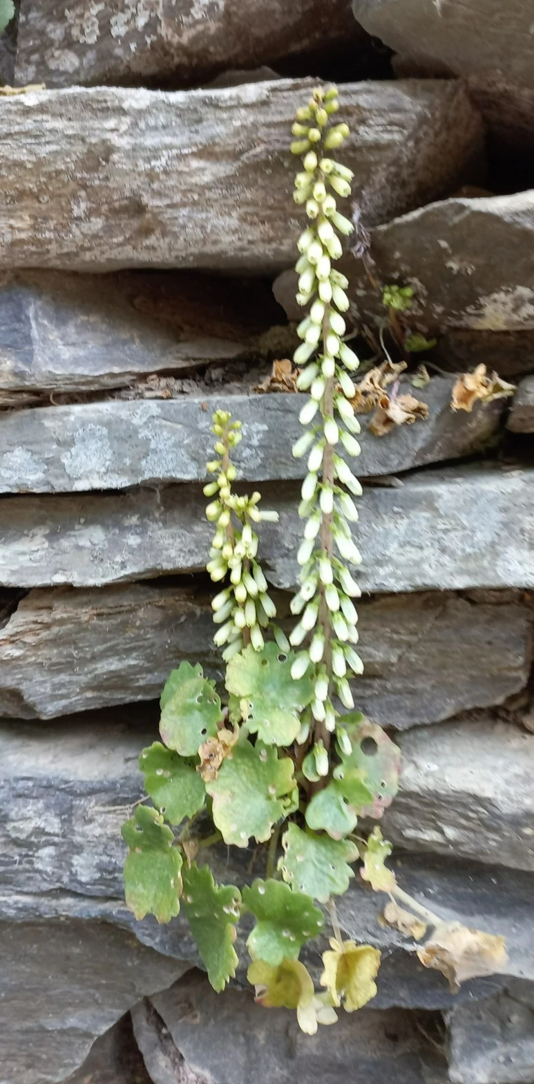 SE-6605e891-8799-495b-bee8-0b457627be78.jpg?type=w773