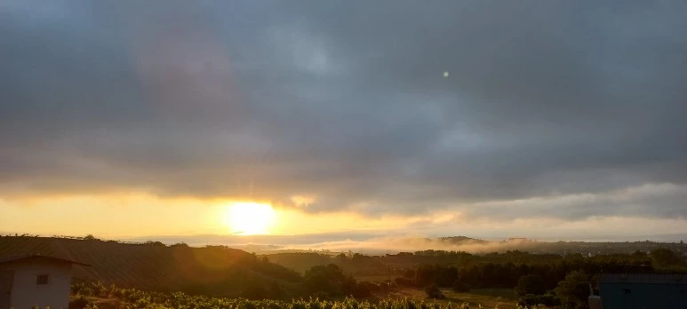 20230531_072143.jpg?type=w773