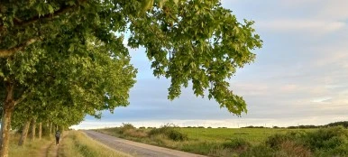 SE-ecfad504-e5bf-41fb-82a0-5da4946e3ddb.jpg?type=w386