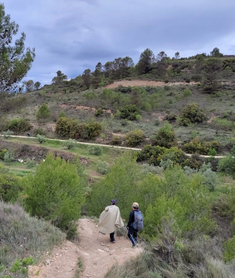 1683911213209.jpg?type=w773