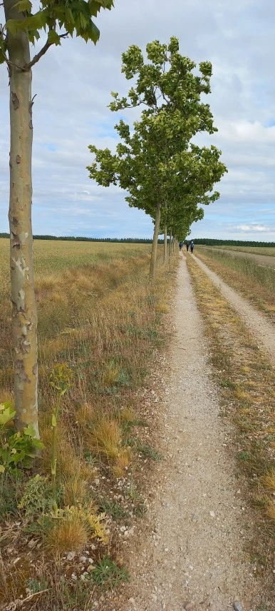 20230523_101309.jpg?type=w386