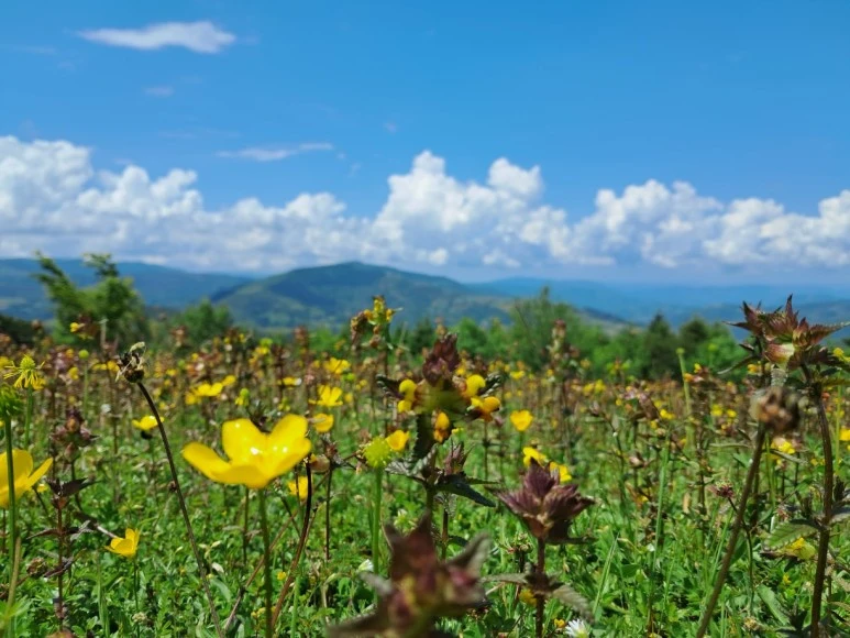 1685628685002.jpg?type=w773