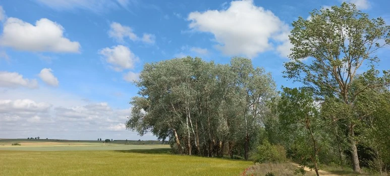 20230520_110703.jpg?type=w773