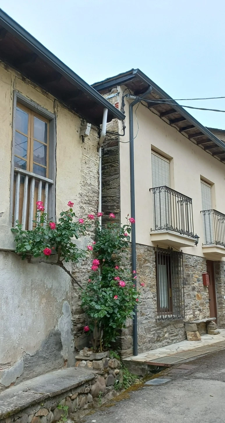 SE-46429a7b-5937-466b-8415-4b5553e31c3f.jpg?type=w773