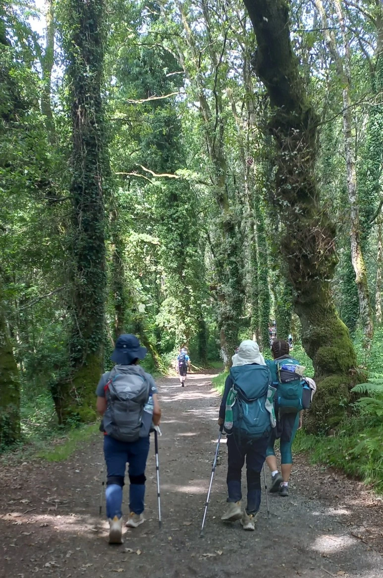 SE-216ebff8-3524-4a66-977d-a94878345c2a.jpg?type=w773