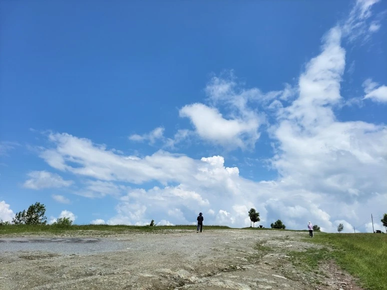 1685635124349.jpg?type=w773