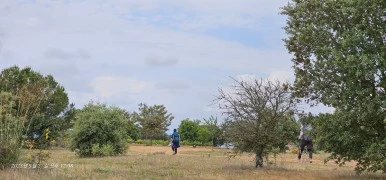 1685195528908.jpg?type=w386