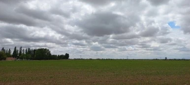 20230526_141857.jpg?type=w386