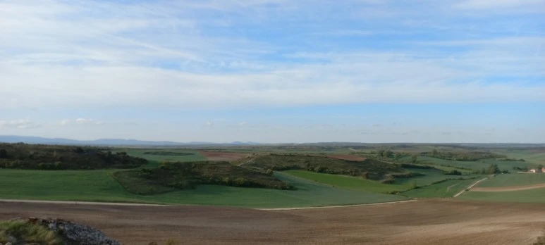 20230517_083419.jpg?type=w773