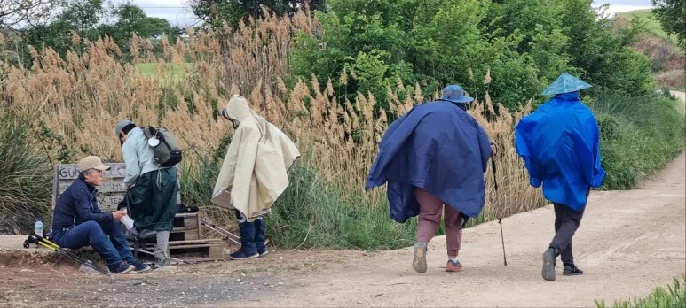 1683950195985.jpg?type=w773