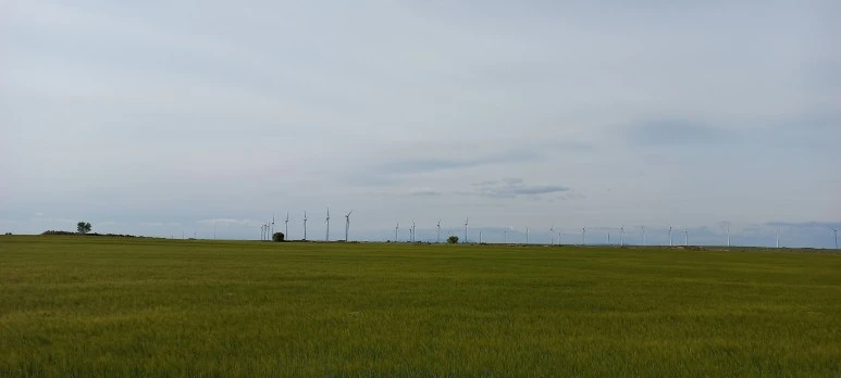 20230518_172427.jpg?type=w773