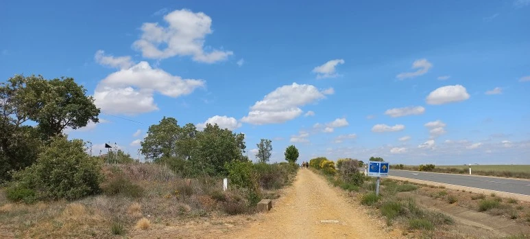 20230521_124948.jpg?type=w773