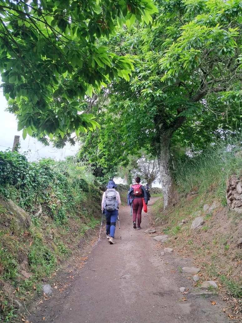 1685881288936.jpg?type=w773