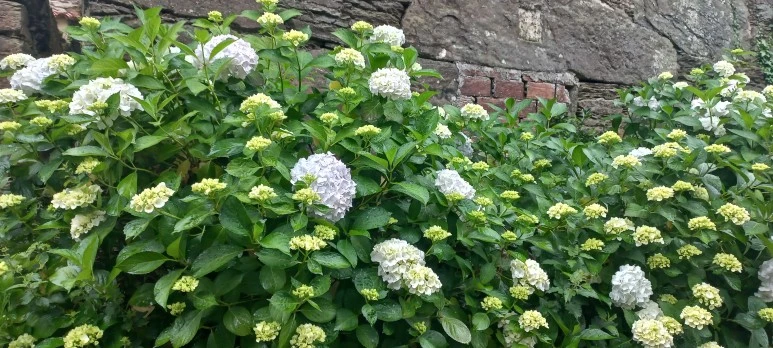 20230607_090025.jpg?type=w773