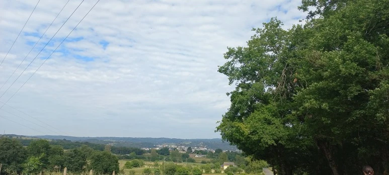 20230603_105813.jpg?type=w773