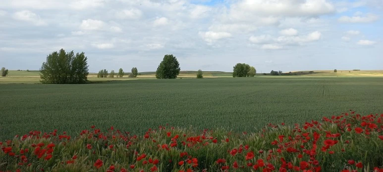 20230520_104211.jpg?type=w773