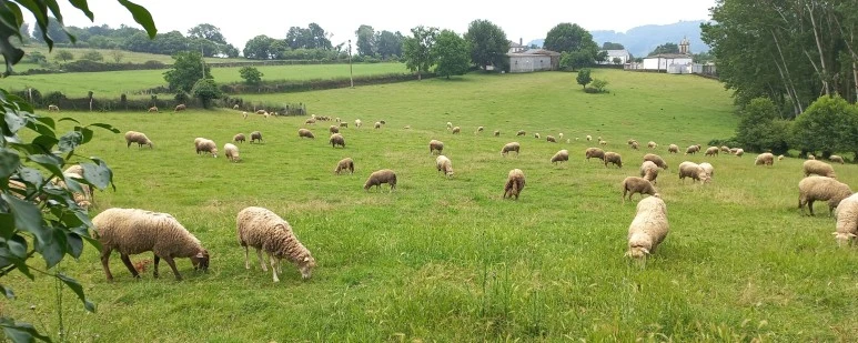 SE-25ef3079-45b3-452f-b3d5-46e2dca8e7e4.jpg?type=w773