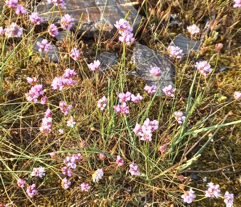 SE-5309c275-ce48-4380-bc21-bbfb454664c8.jpg?type=w773