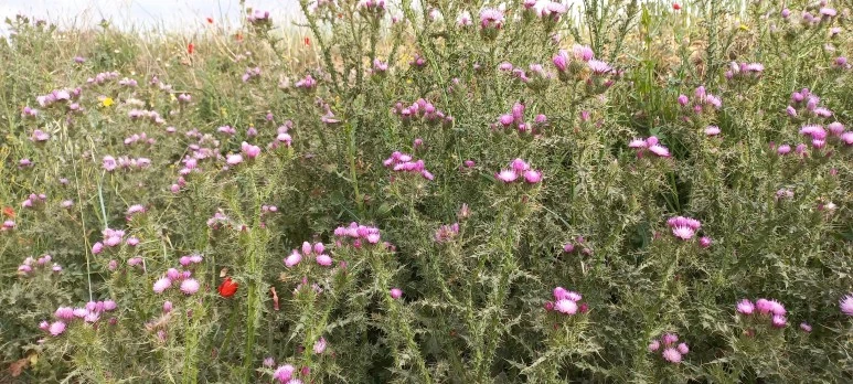 20230519_101900.jpg?type=w773