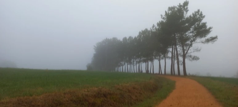 20230605_073802.jpg?type=w773