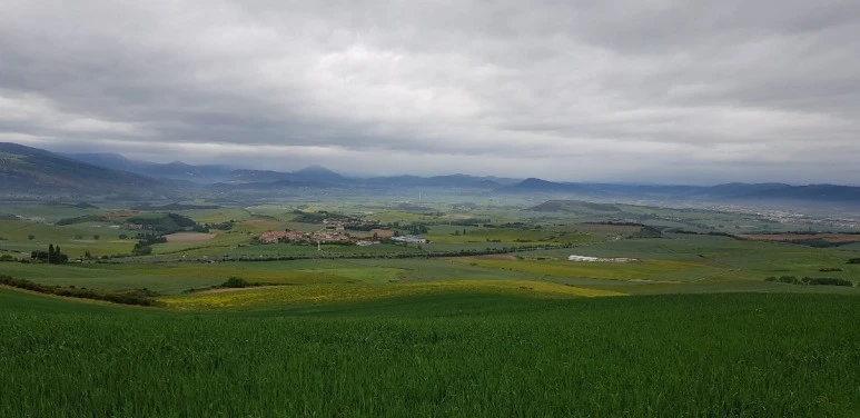 1683650305146.jpg?type=w773